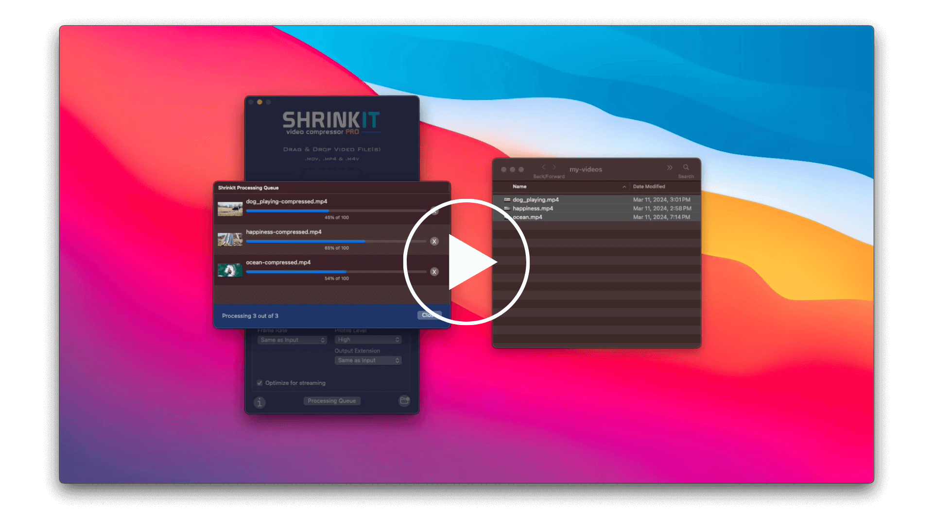 Play ShrinkIt demo video